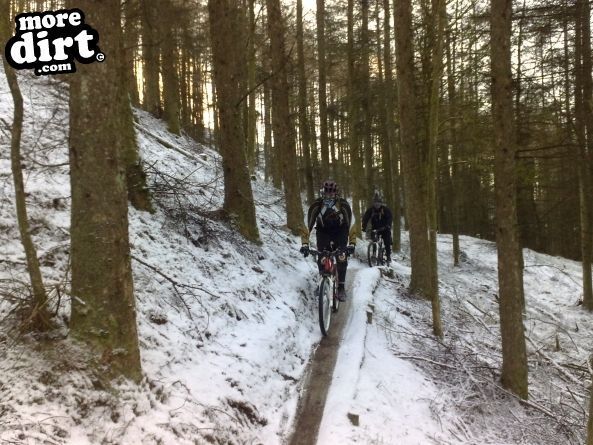 Penhydd Trail -  Afan Forest
