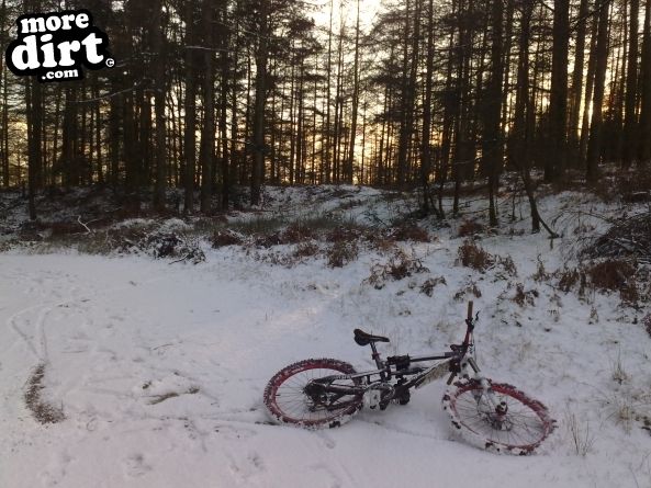 Penhydd Trail -  Afan Forest