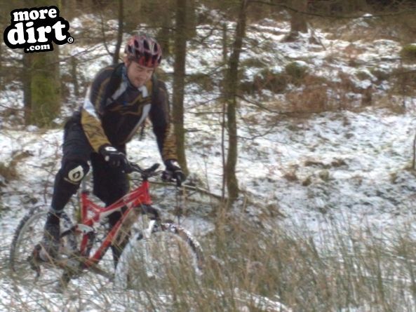 Penhydd Trail -  Afan Forest