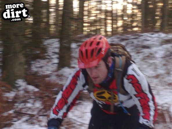 Penhydd Trail -  Afan Forest