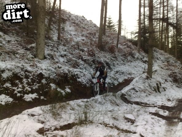 Penhydd Trail -  Afan Forest