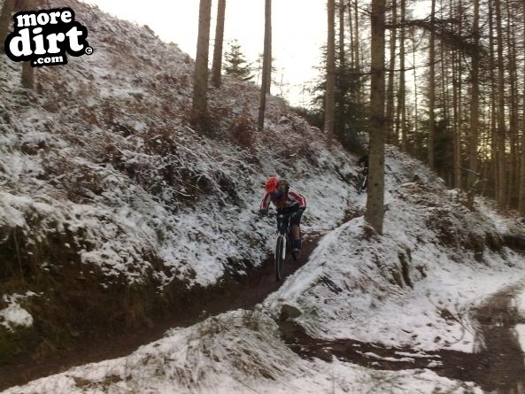 Penhydd Trail -  Afan Forest