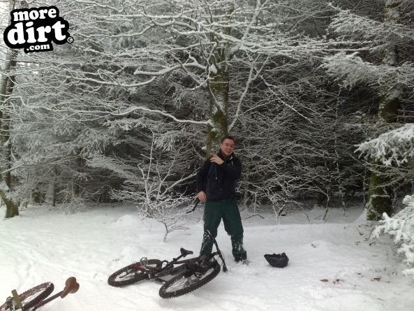 Gorlech Trail - Brechfa