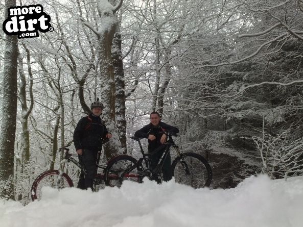 Gorlech Trail - Brechfa