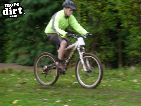 what i thought would be a nice xc/cyclocross race 