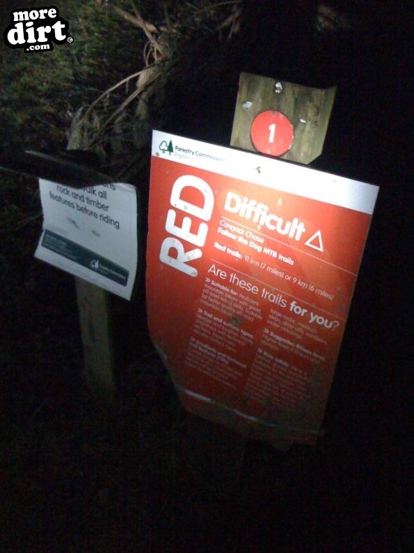 Follow the Dog Trail - Cannock Chase