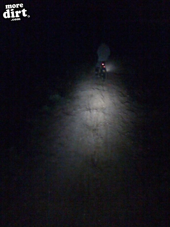 Follow the Dog Trail - Cannock Chase