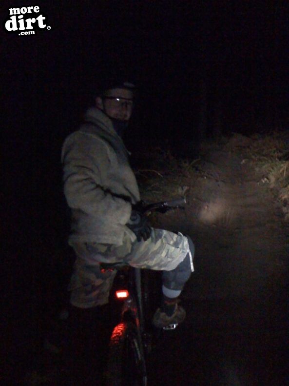 Follow the Dog Trail - Cannock Chase