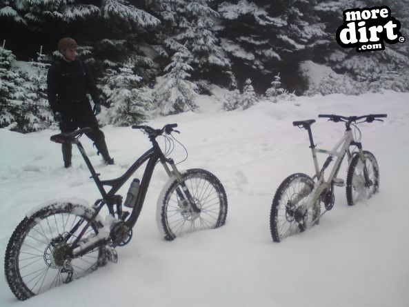 Lonesome Pine Trail - Kielder Forest