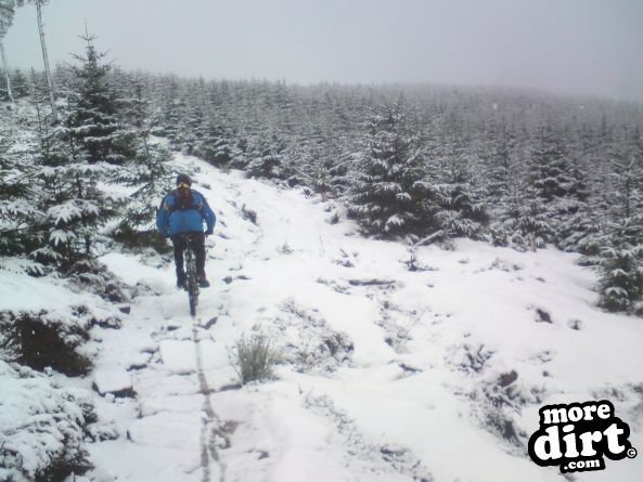 Lonesome Pine Trail - Kielder Forest