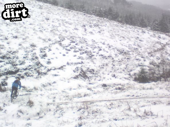 Lonesome Pine Trail - Kielder Forest