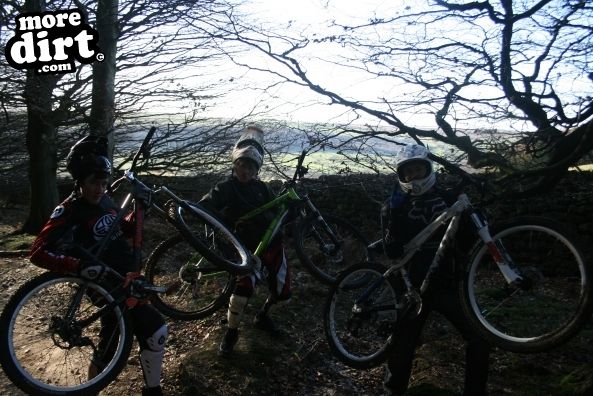 Descent Line Trail - Stainburn Forest