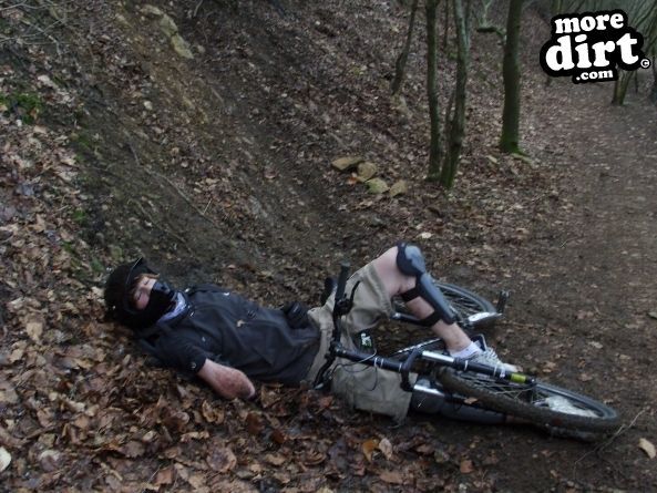 Leckhampton Hill Trails