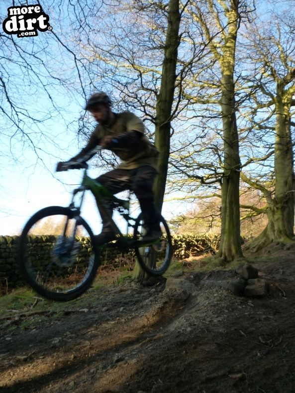 Descent Line Trail - Stainburn Forest