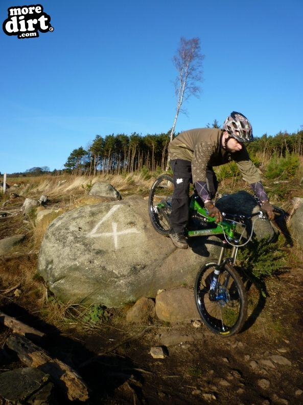Descent Line Trail - Stainburn Forest