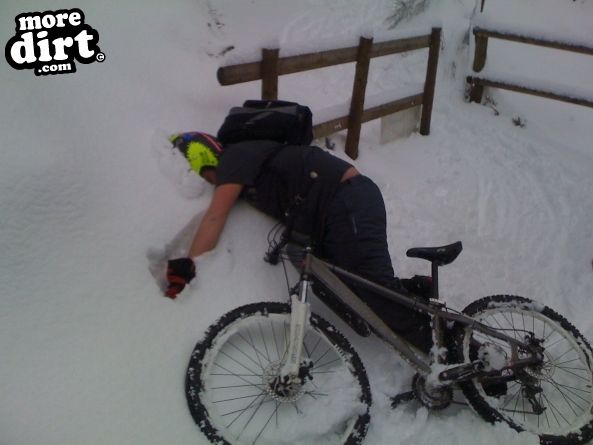 Blue Trail - Coed Llandegla Forest