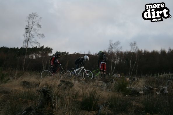 Descent Line Trail - Stainburn Forest