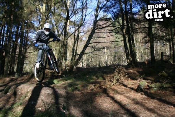 Descent Line Trail - Stainburn Forest