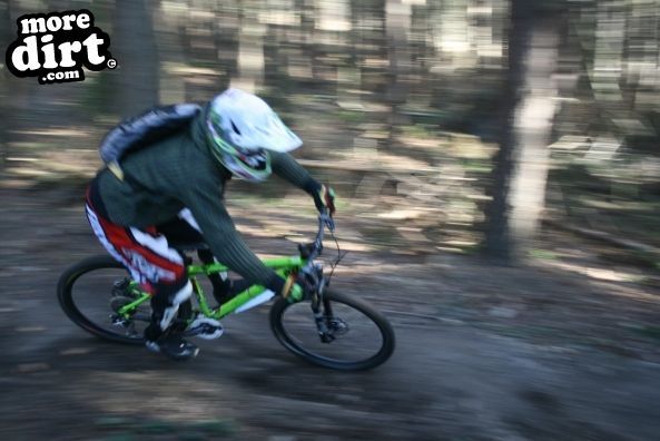 Descent Line Trail - Stainburn Forest