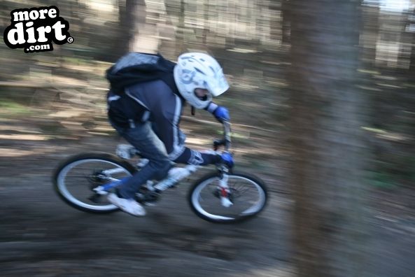 Descent Line Trail - Stainburn Forest