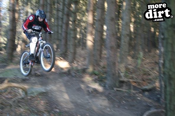 Descent Line Trail - Stainburn Forest