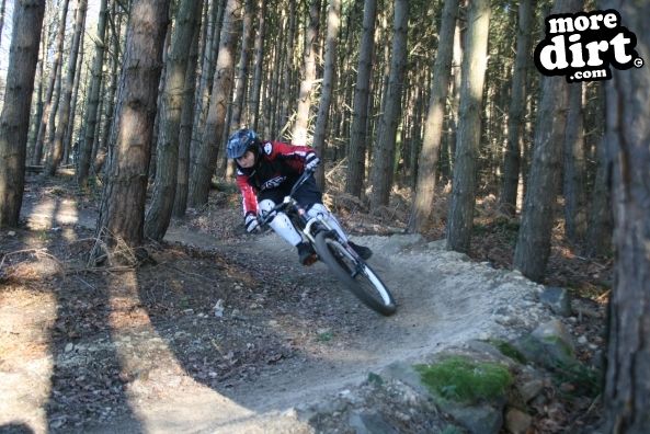 Descent Line Trail - Stainburn Forest