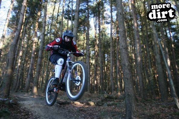 Descent Line Trail - Stainburn Forest