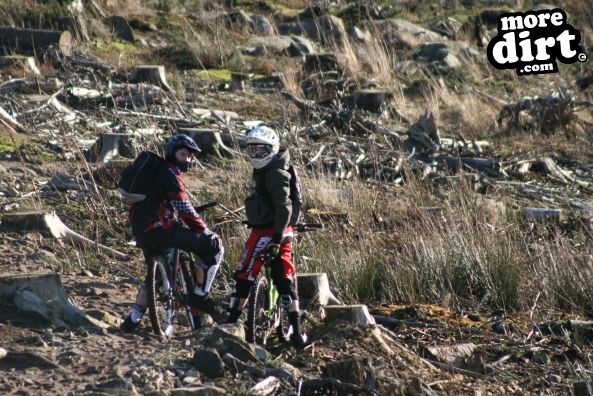 Descent Line Trail - Stainburn Forest