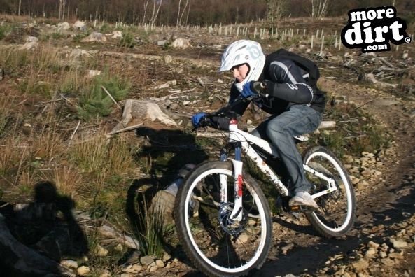 Descent Line Trail - Stainburn Forest