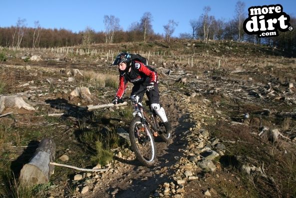 Descent Line Trail - Stainburn Forest
