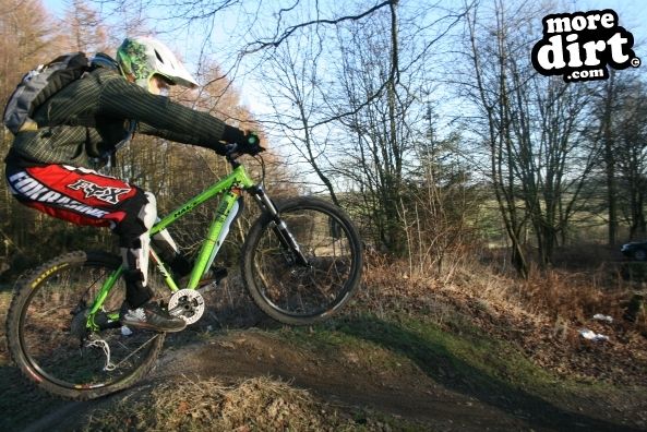 Descent Line Trail - Stainburn Forest