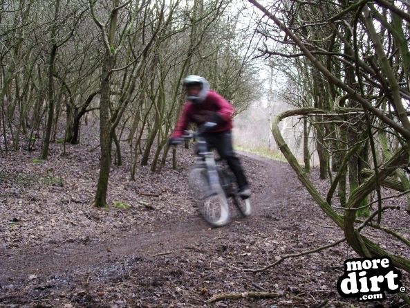 Leckhampton Hill Trails