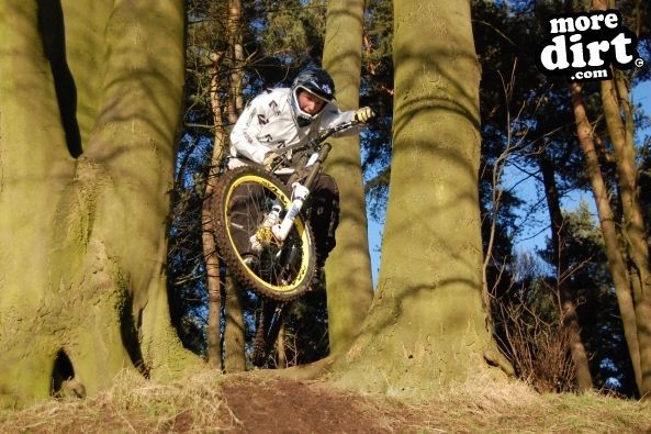 Delamere Forest Mountain Bike Trails