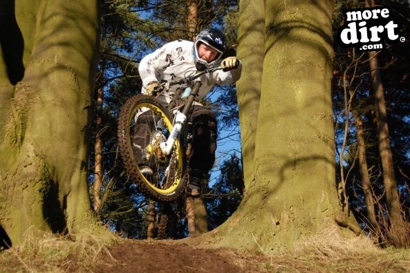 Delamere Forest Mountain Bike Trails