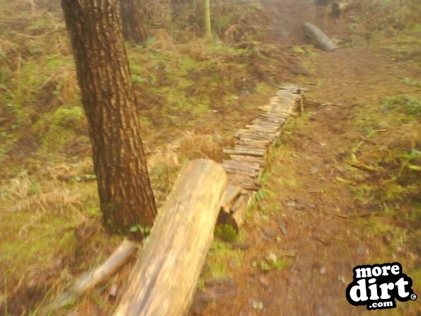 Delamere Forest Mountain Bike Trails