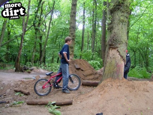 Mountain Bike