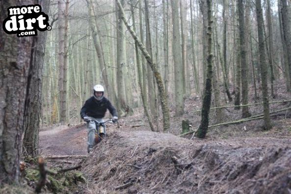 Swinley Forest Mountain Bike Centre