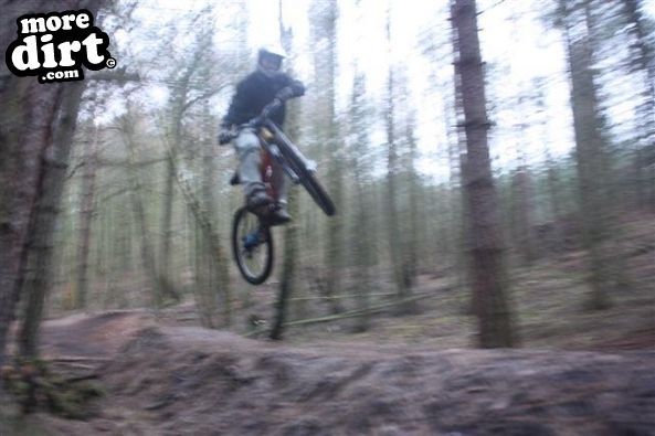 Swinley Forest Mountain Bike Centre