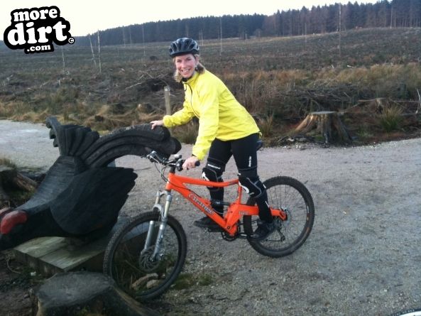 Penmachno Mountain Bike Trails