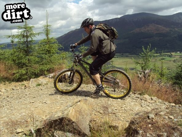 Altura Trail - Whinlatter Forest