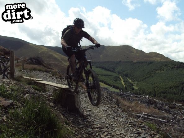 Altura Trail - Whinlatter Forest