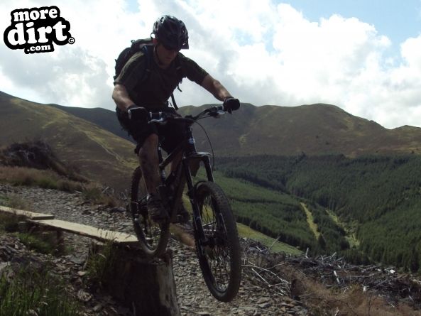 Altura Trail - Whinlatter Forest