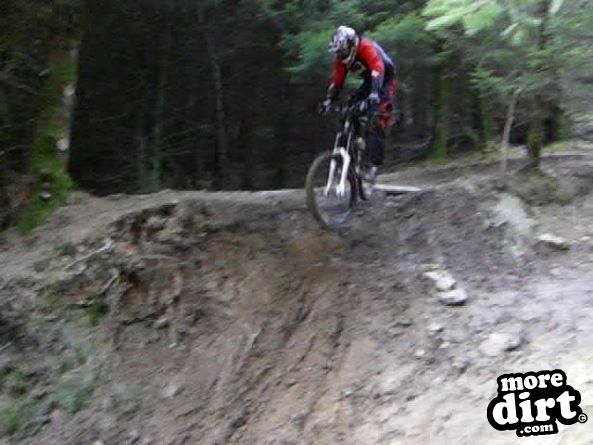 Rheola Downhill Mountain Bike Trail