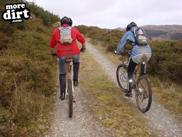 The Beast Trail - Coed-y-Brenin