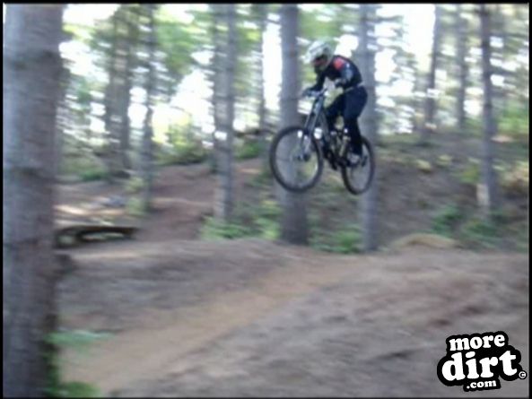 Chicksands Bike Park