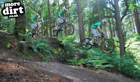 Swinley Forest Mountain Bike Centre