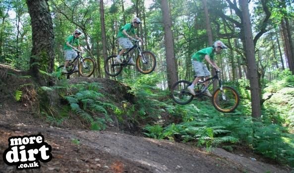 Swinley Forest Mountain Bike Centre