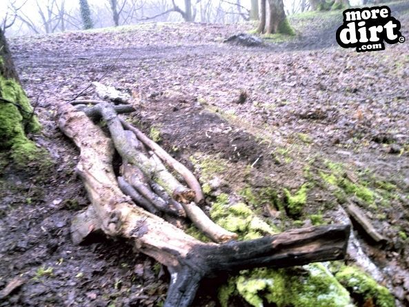 Elland Park Wood Mountain Bike Trails