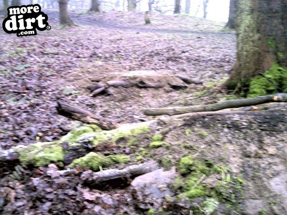 Elland Park Wood Mountain Bike Trails