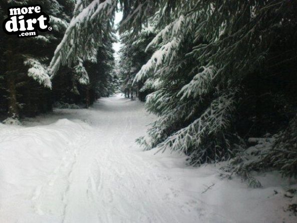 Black Trail - Coed Llandegla Forest